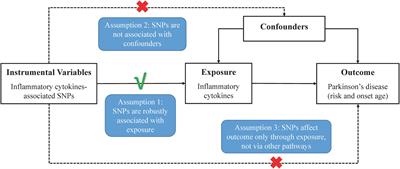 Genetically Predicted Levels of Circulating Inflammatory Cytokines and the Risk and Age at Onset of Parkinson’s Disease: A Two-Sample Mendelian Randomization Study